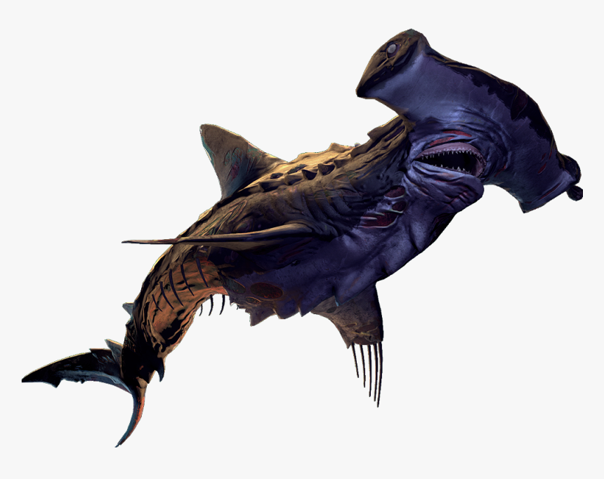 Depth Hammerhead Old Bones, HD Png Download, Free Download