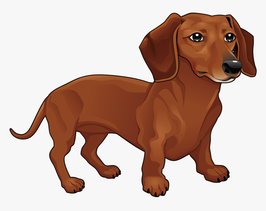 Transparent Dachshund Dog Clipart - Dachshund Png, Png Download, Free Download