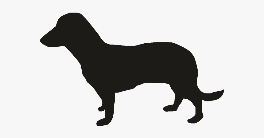 Miniature Dachshund Puppy Vector Graphics Dog Breed - Mini Dachshund Outline, HD Png Download, Free Download