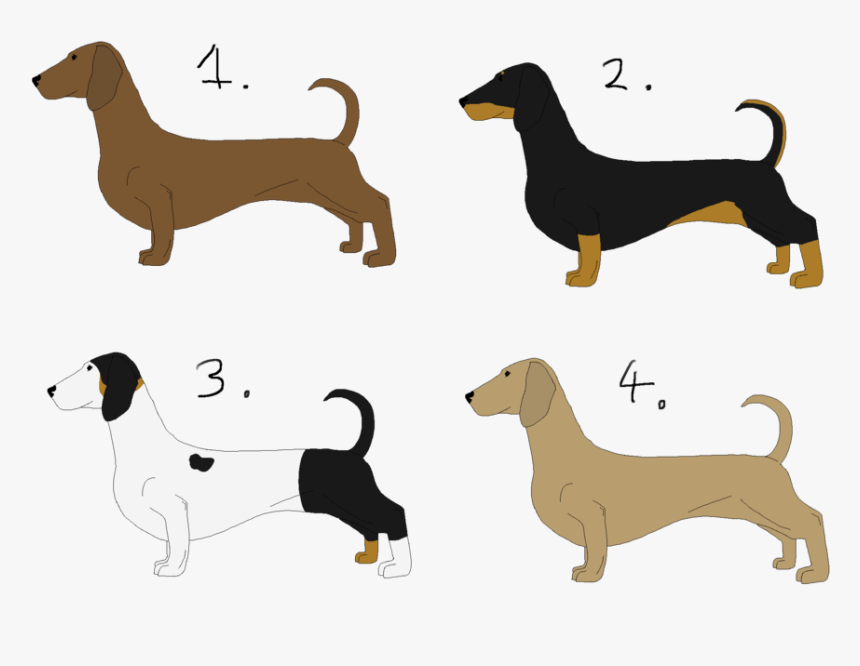 Dachshund Puppy Dog Breed Hound Clip Art - Dachshund, HD Png Download, Free Download