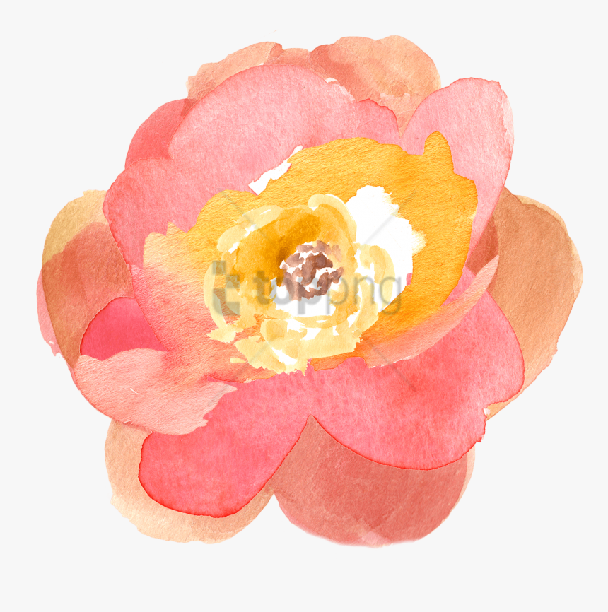 Free Png Download Transparent Watercolor Flowers Png - Free Clip Art Fall Flowers, Png Download, Free Download