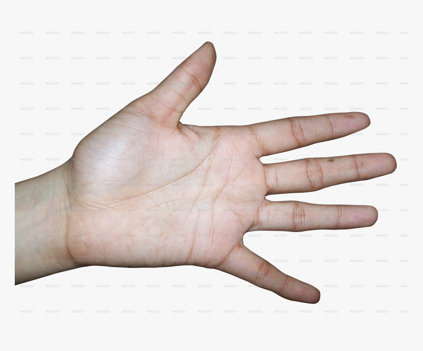 Female Hand Hand Texture, HD Png Download, Free Download