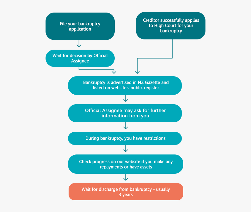 [diagram] Bankruptcy Life-cycle - Bankruptcies Work, HD Png Download, Free Download