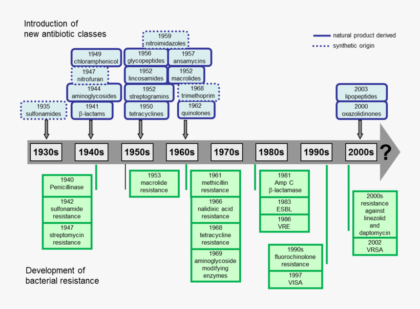 Antibiotic Resistance And Drug Development, HD Png Download, Free Download