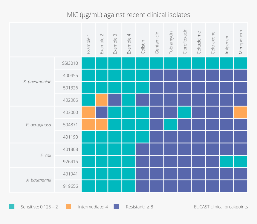 Antibiotics Spectrum Of Activity, HD Png Download, Free Download