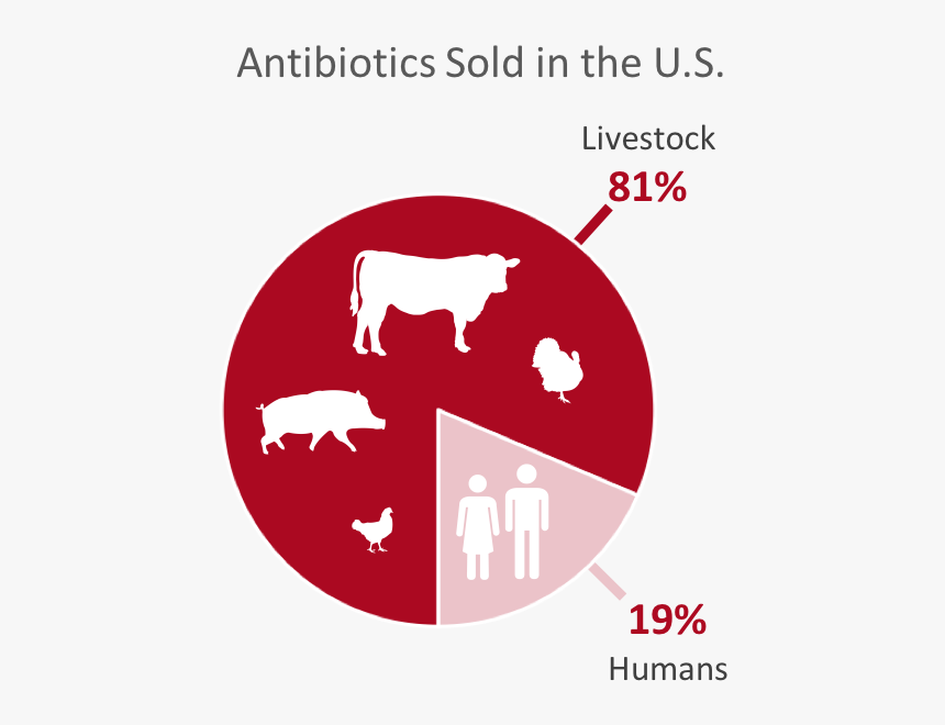 Breakdown Of Antibiotics Sold In The United States - Graphic Design, HD Png Download, Free Download