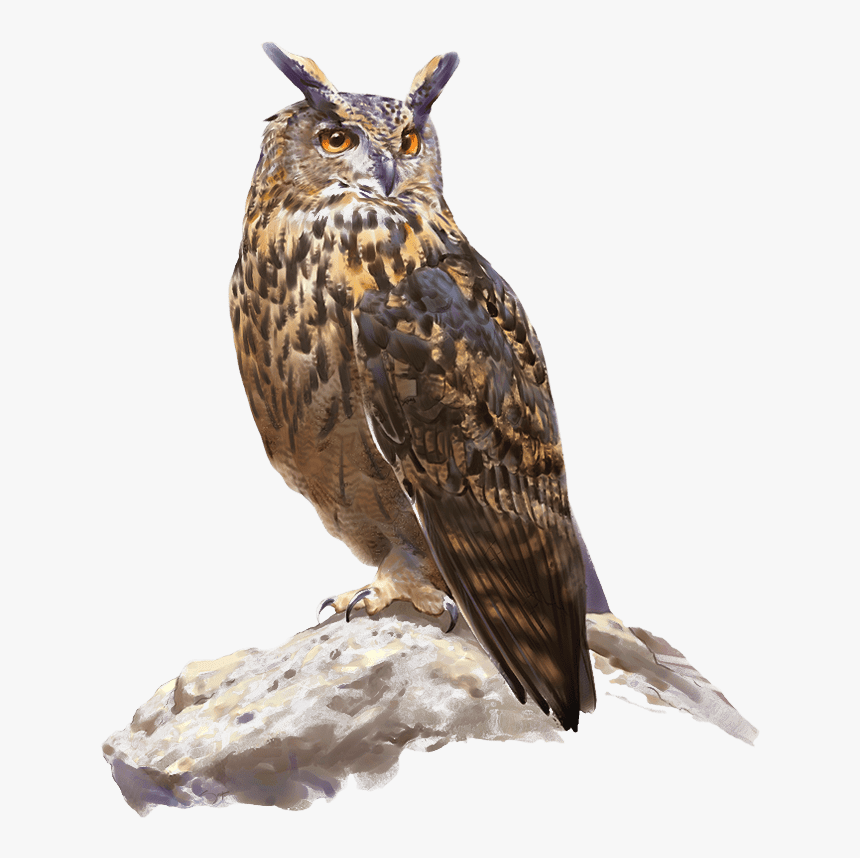 Great Horned Owl, HD Png Download, Free Download