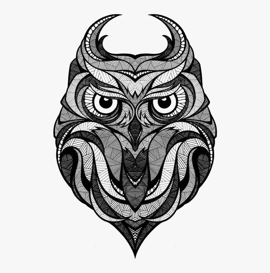 Owl Arctic Fox Drawing Art - Andreas Preis Owl, HD Png Download, Free Download