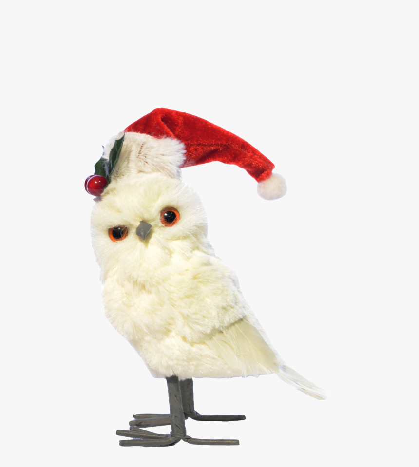 Búho De Pie Blanco Gorro De Navidad - Owl, HD Png Download, Free Download