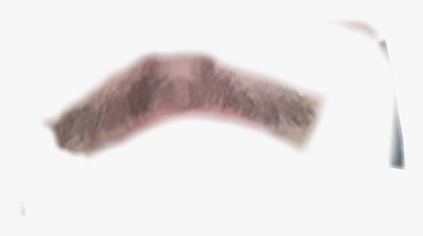 #bigode - Starfish, HD Png Download, Free Download