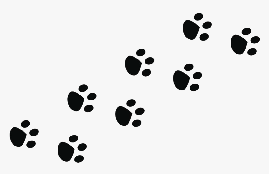 Thumb Image - Transparent Bunny Paw Print, HD Png Download, Free Download