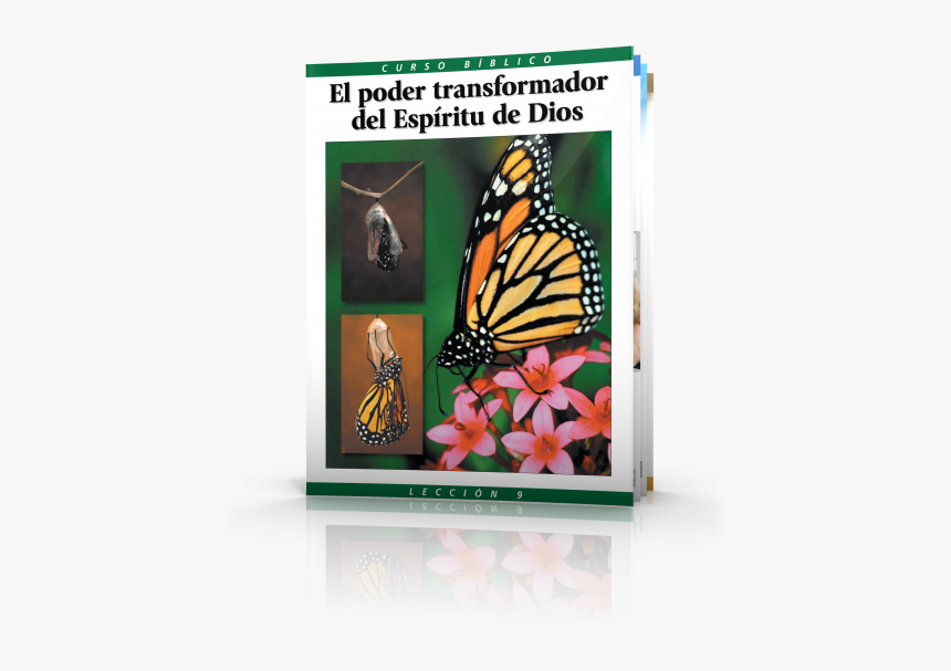 Curso Bíblico Lección 9 El Poder Transformador Del - Monarch Butterfly, HD Png Download, Free Download