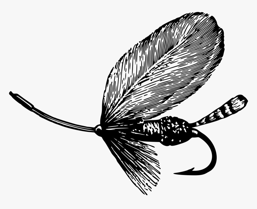 All Photo Png Clipart - Fly Fishing Images Black And White, Transparent Png, Free Download