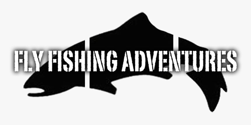 Home-support Catch & Release - Chasing Freedom, HD Png Download, Free Download