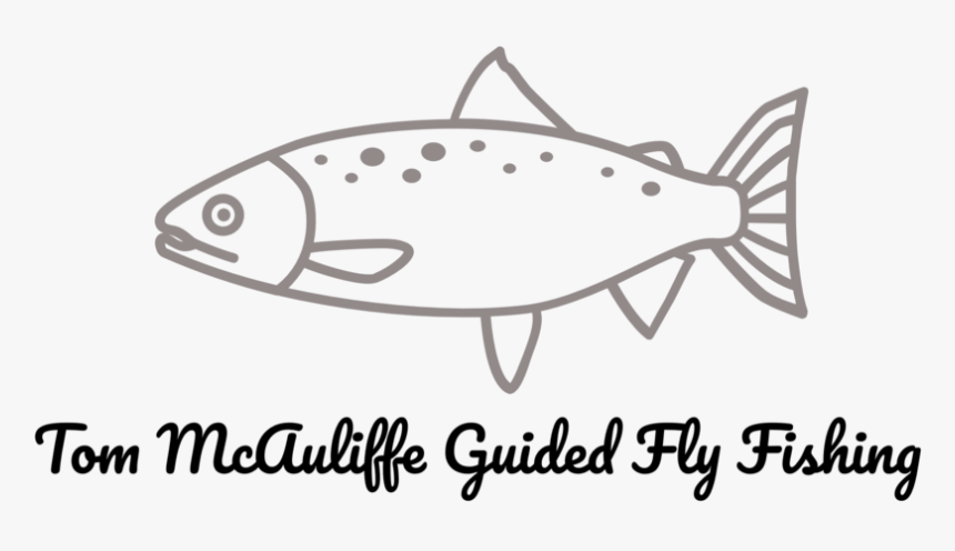Fly Fishing Png, Transparent Png, Free Download
