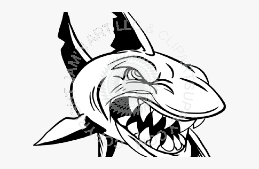 Transparent Shark Clipart - Mako Shark Head Drawing, HD Png Download, Free Download