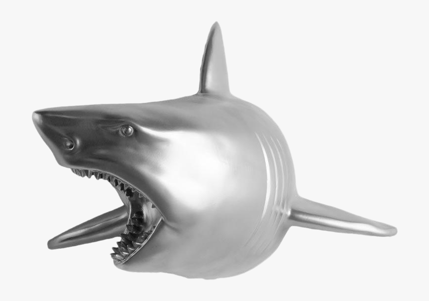 Great White Shark, HD Png Download, Free Download