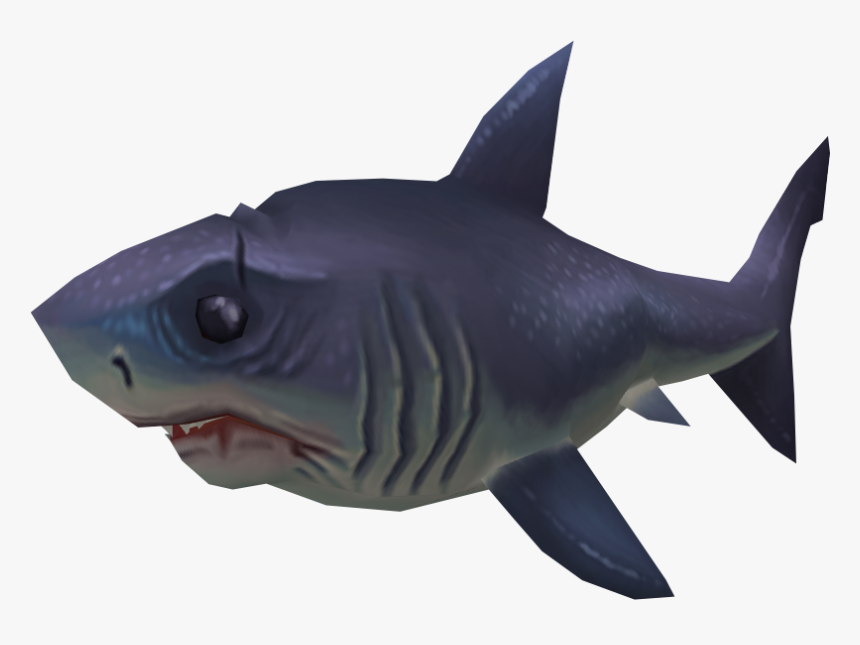 Shark, HD Png Download, Free Download