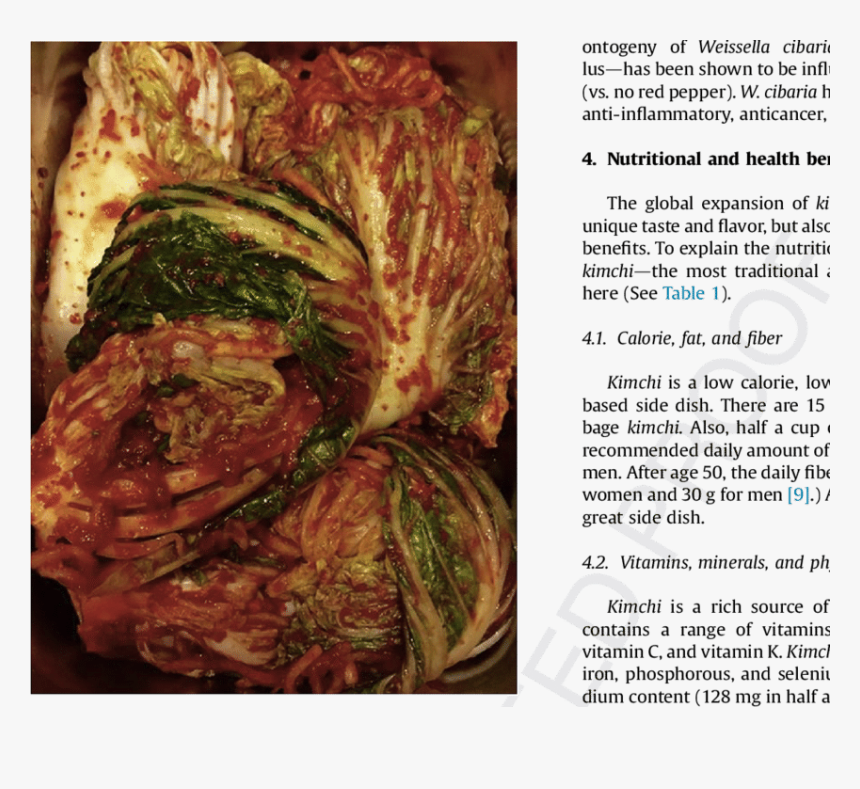 Fermented Cabbage Benefits, HD Png Download, Free Download