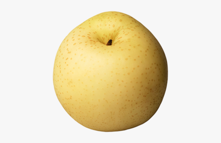 Asian Pear Png - Korean Pears Good For You, Transparent Png, Free Download