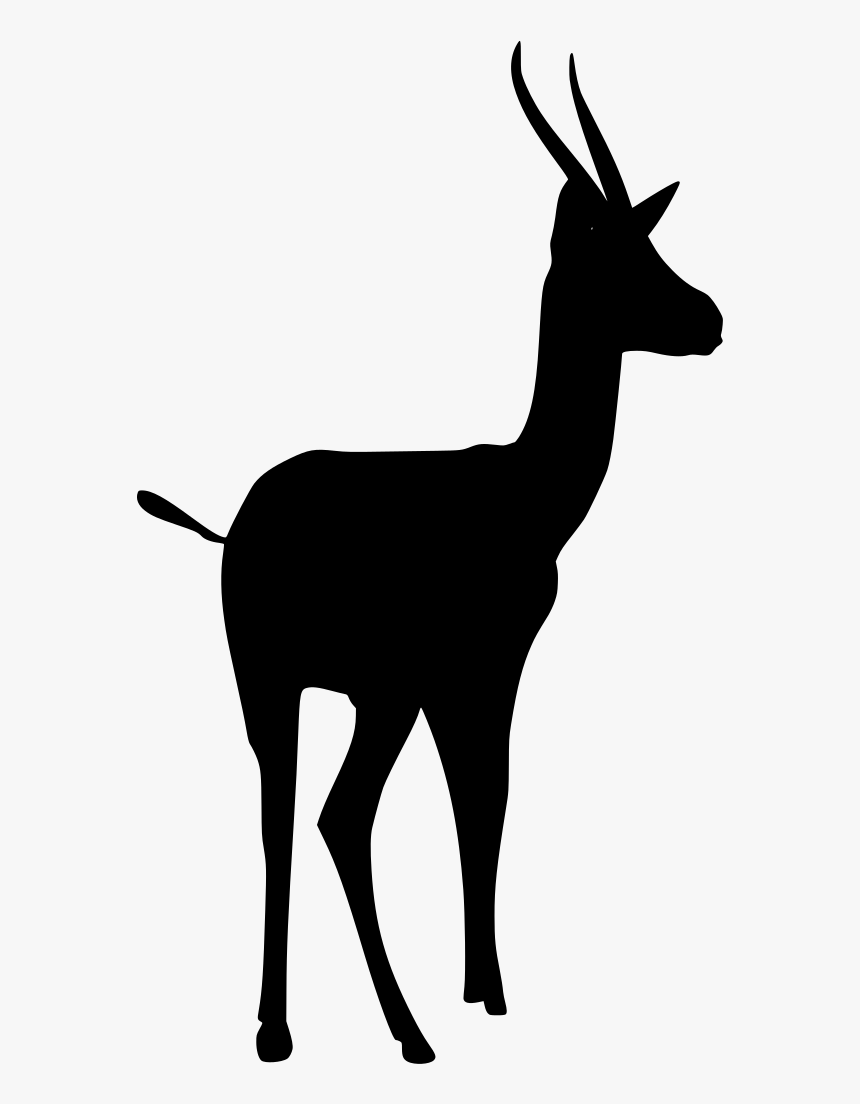 Deer, HD Png Download, Free Download