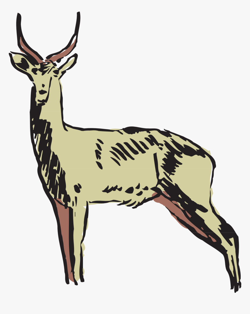 Collection Of Free Antelope Drawing Gazelle Download - Animals Clipart, HD Png Download, Free Download