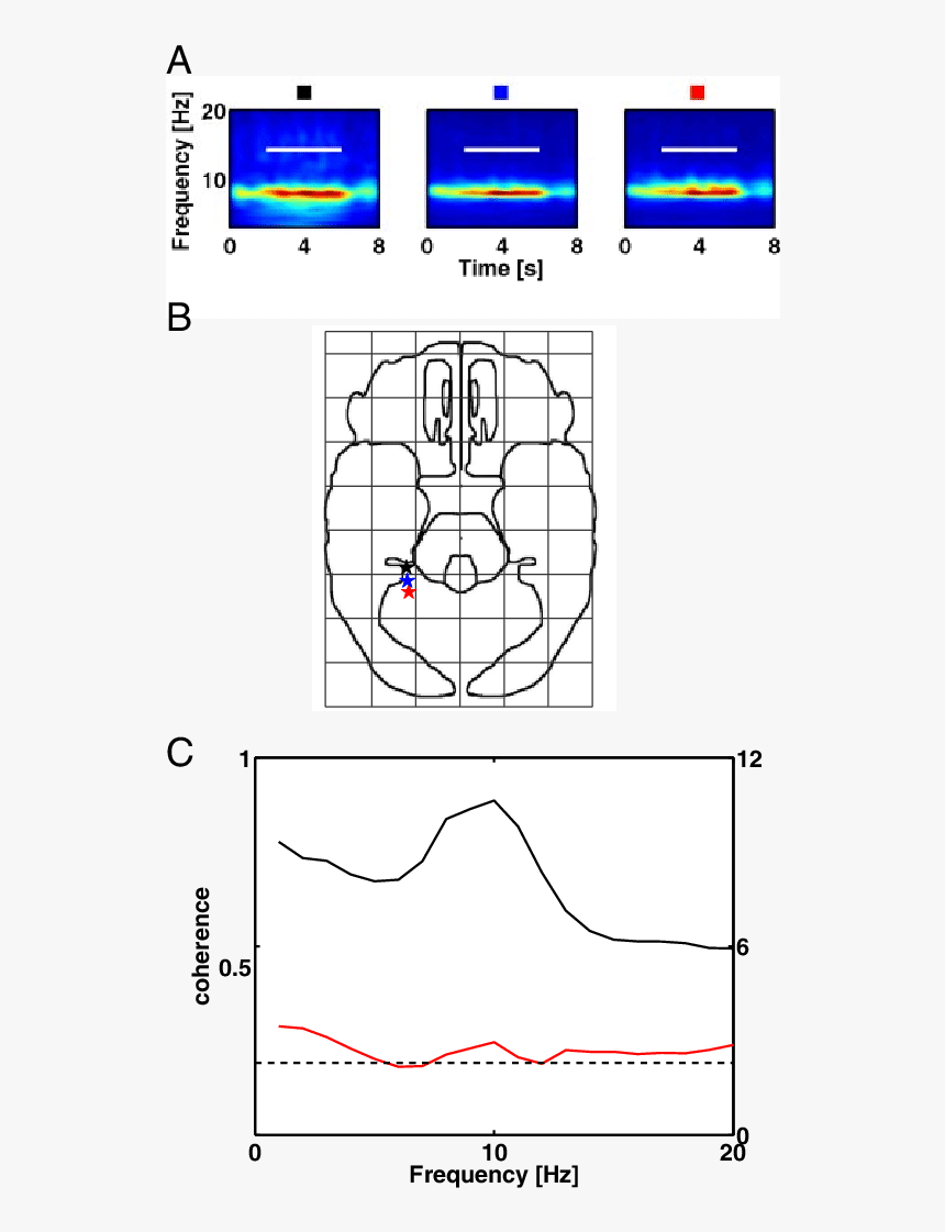 Diagram, HD Png Download, Free Download