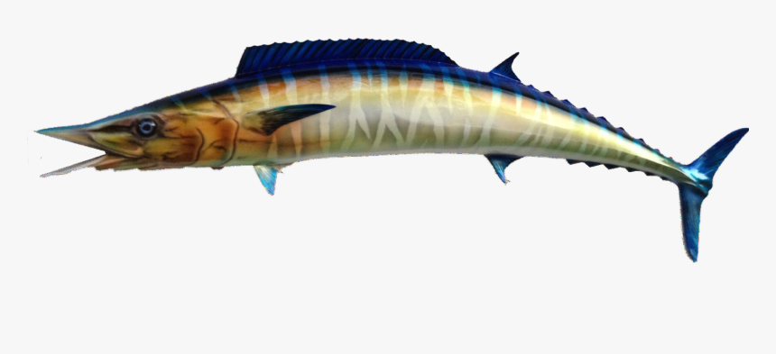 Transparent Sailfish Png - Atlantic Blue Marlin, Png Download, Free Download