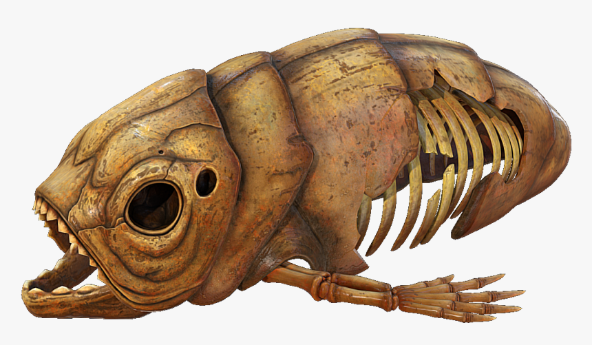 Subnautica Wiki - Subnautica Dead Skeleton Leviathan, HD Png Download, Free Download