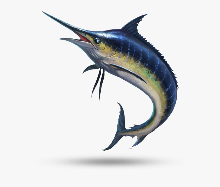 Marlin - Marlin Fish, HD Png Download, Free Download