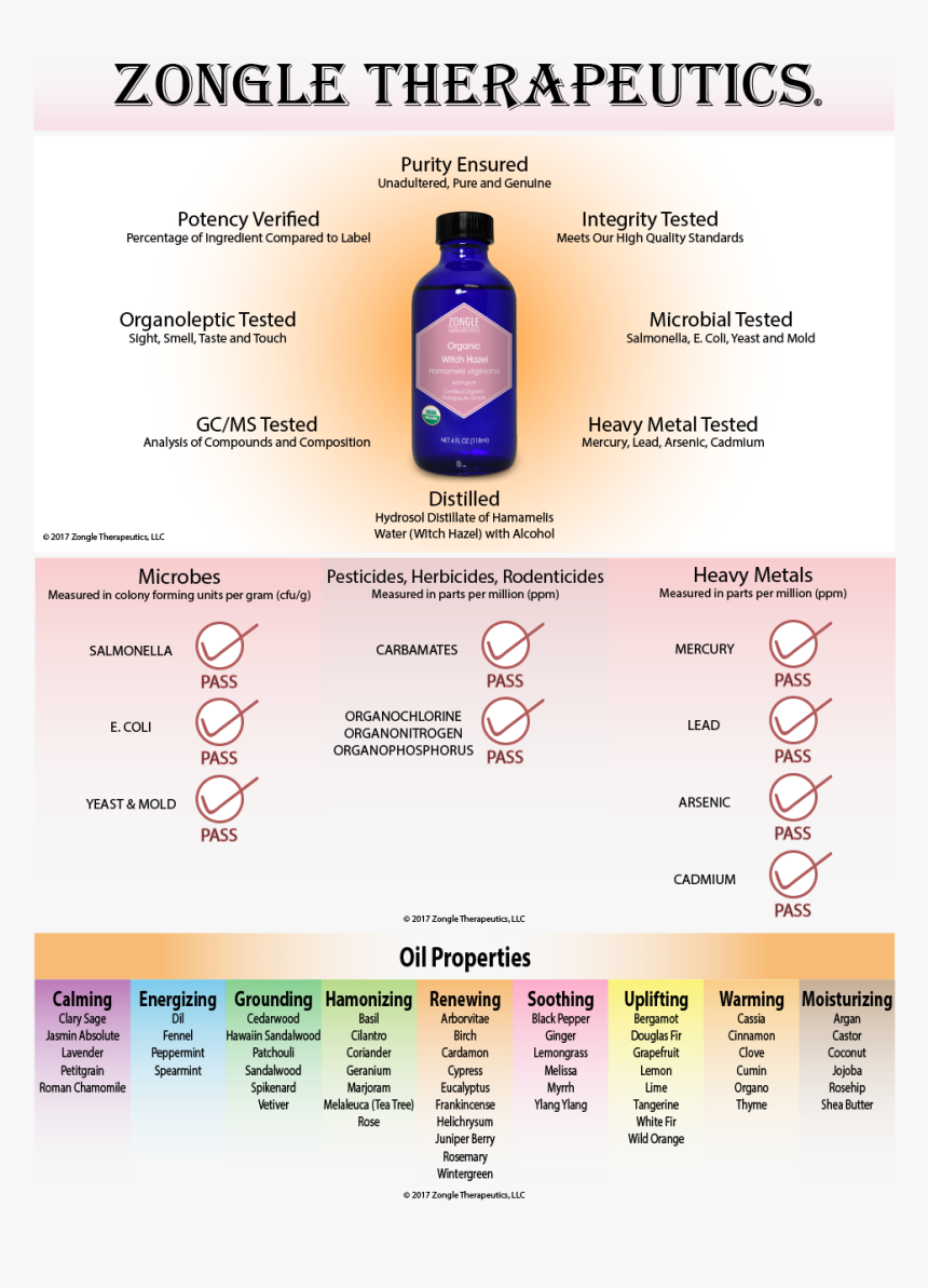 Witch Hazel Essential Oil, HD Png Download kindpng