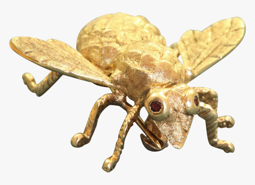 Estate 14 K Large Bug Pin With Ruby Eyes , Png Download - Honeybee, Transparent Png, Free Download