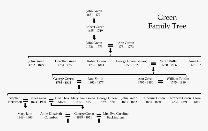 File - Greenfamilytree, HD Png Download, Free Download