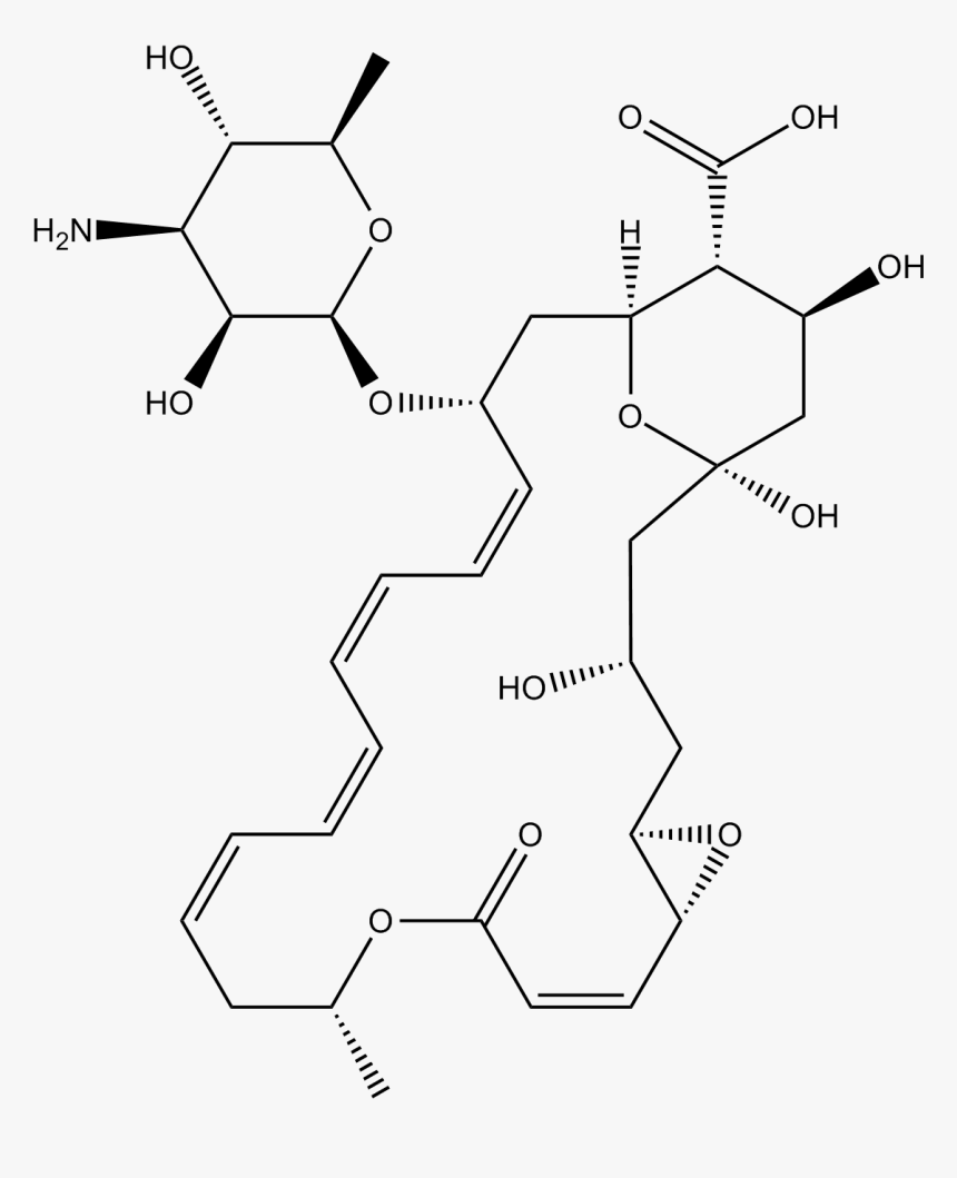 Diagram, HD Png Download, Free Download