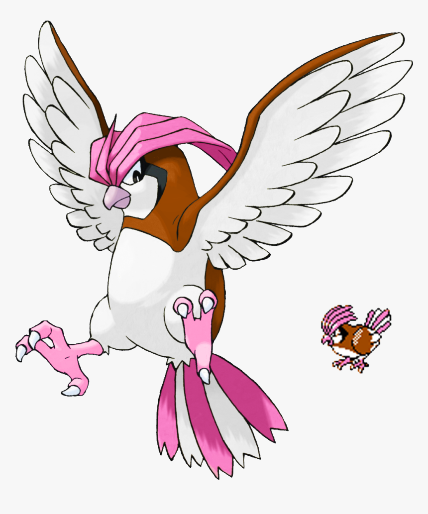 Pidgeotto Pokemon, HD Png Download, Free Download