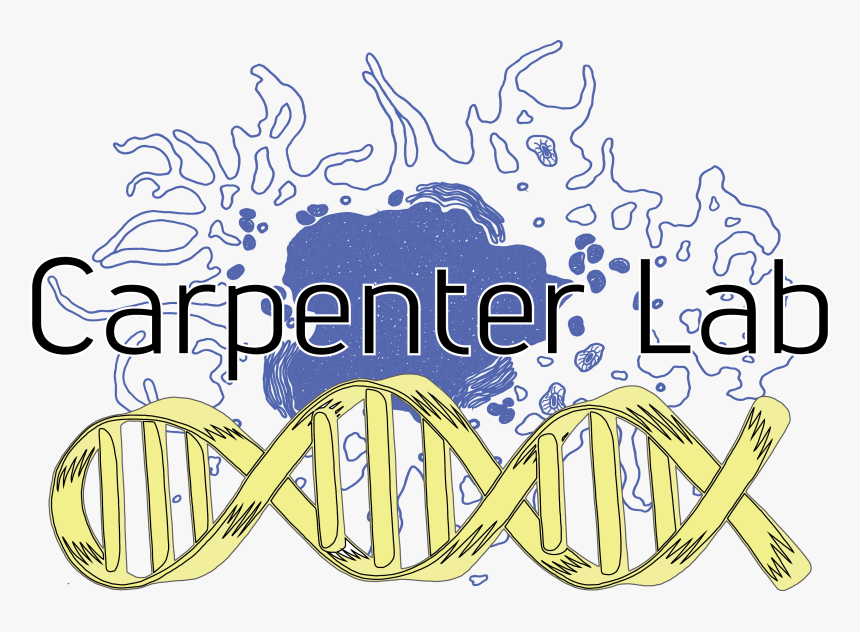 Calligraphy, HD Png Download, Free Download