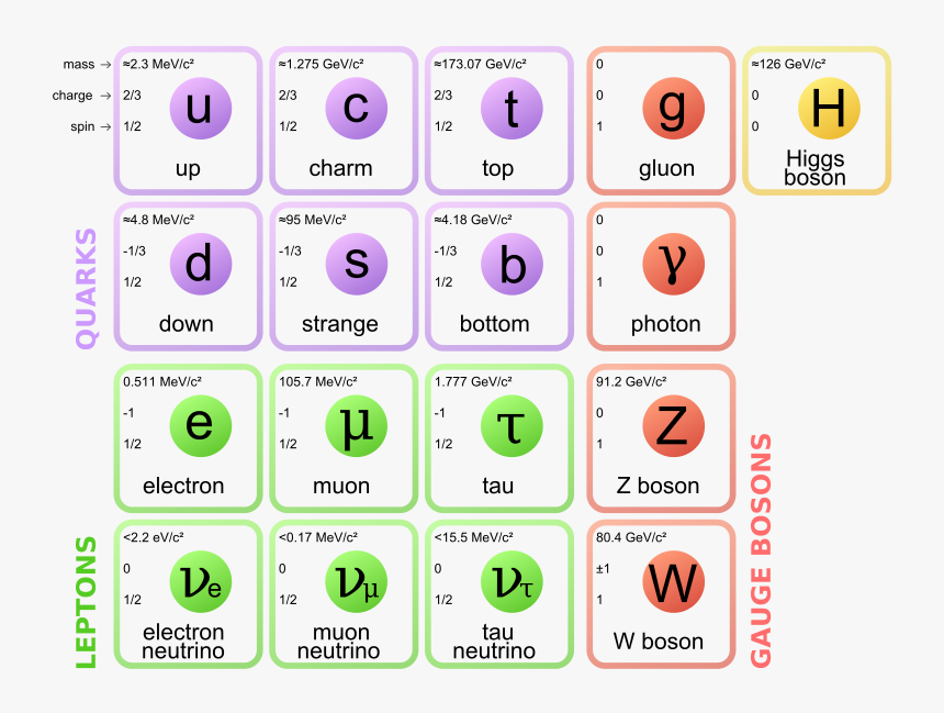 Standard Model Of Particle Physics, HD Png Download, Free Download