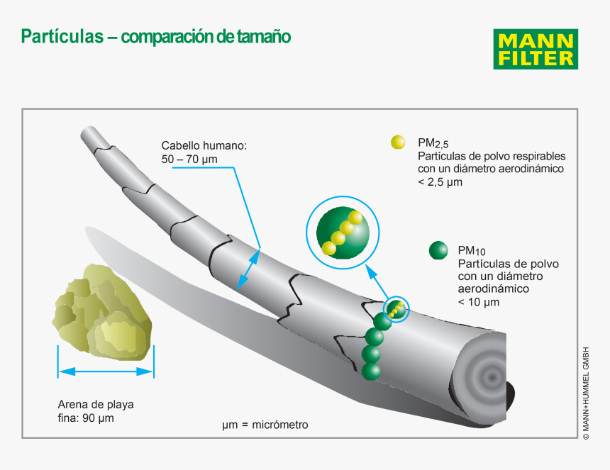 Imagen Portada Noticia - Particulate Matter Size Comparison, HD Png Download, Free Download