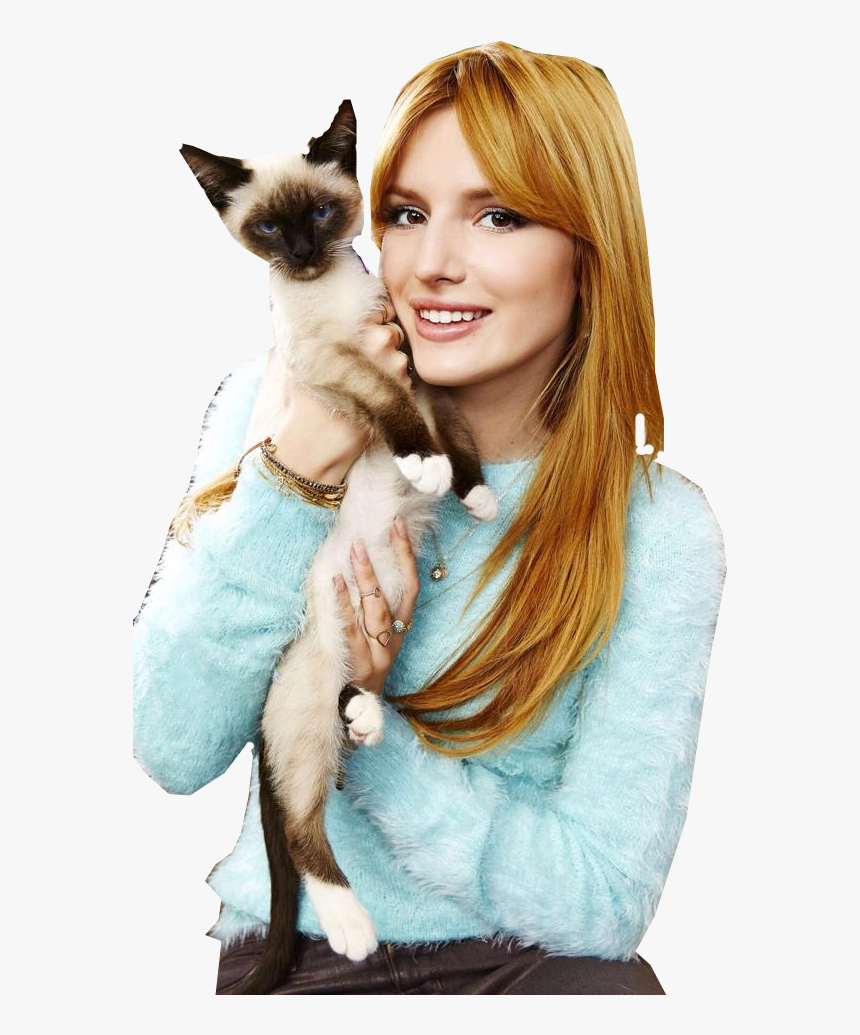 Siamese, HD Png Download, Free Download