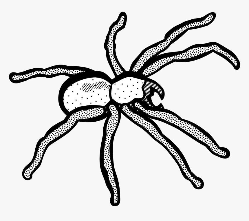Lineart Clip Arts - Spider Line Art, HD Png Download, Free Download