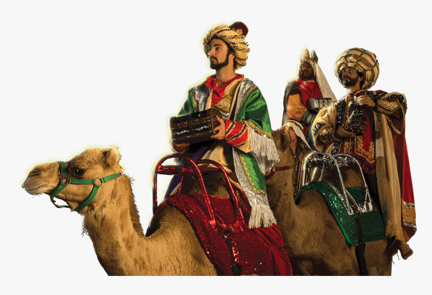 Three Kings Of The Nativity - Arabian Camel, HD Png Download, Free Download