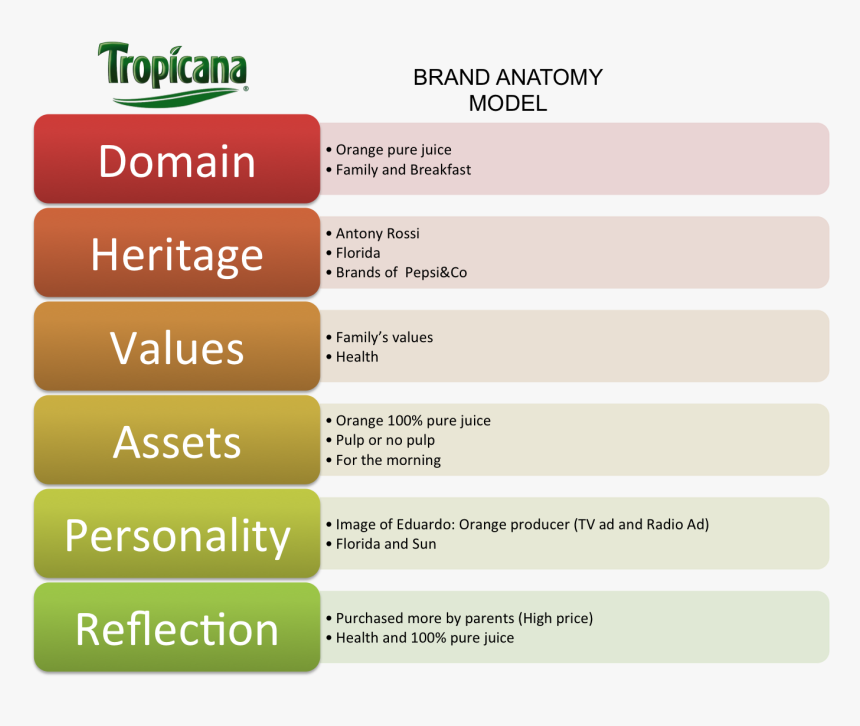 Brand Anatomy Model, HD Png Download, Free Download