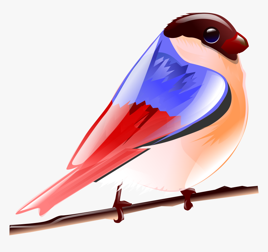Colourful Birds Images Of Cartoon, HD Png Download, Free Download