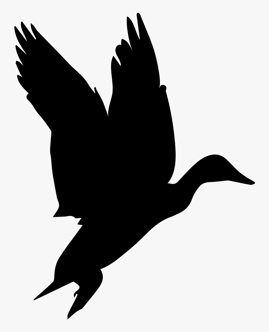 Bird Waterfowl Shape - Black Birds Gif No Background, HD Png Download, Free Download