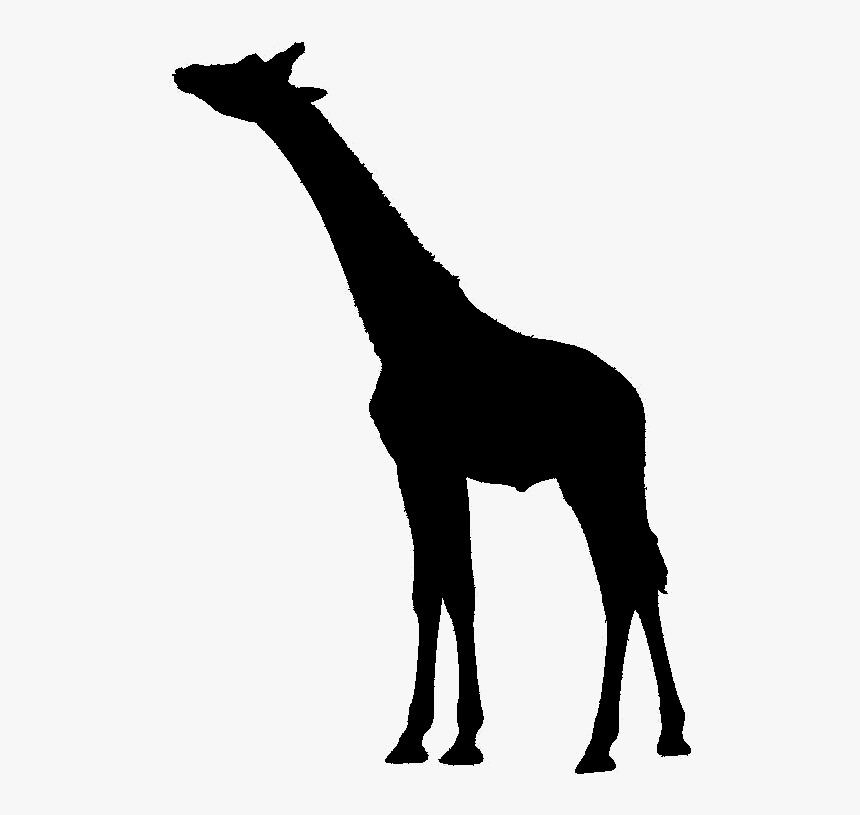 Giraffe Svg, HD Png Download, Free Download