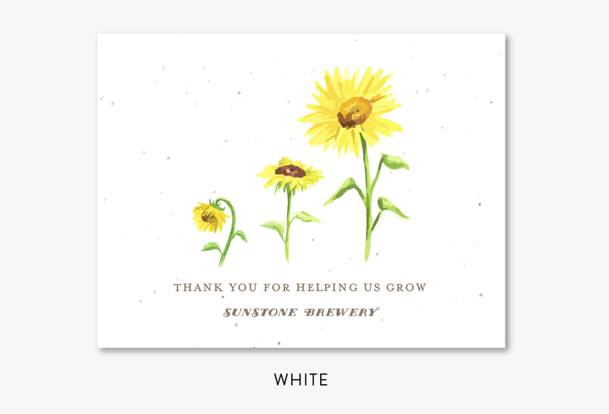 Sunflower Business Thank You Cards - Sunflower To Invitation Card, HD Png Download, Free Download