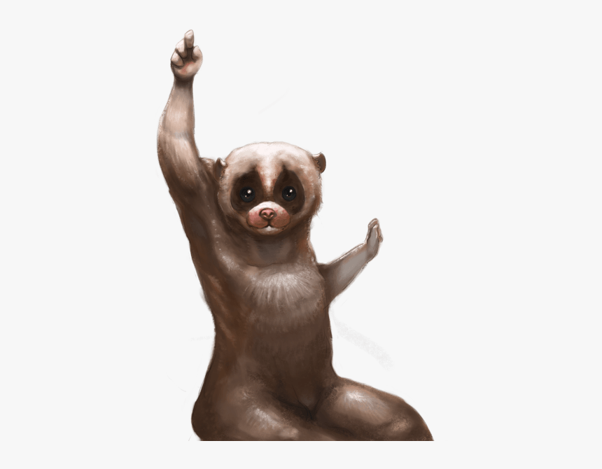 Loris Lento Personaje Meme - Slow Loris, HD Png Download, Free Download