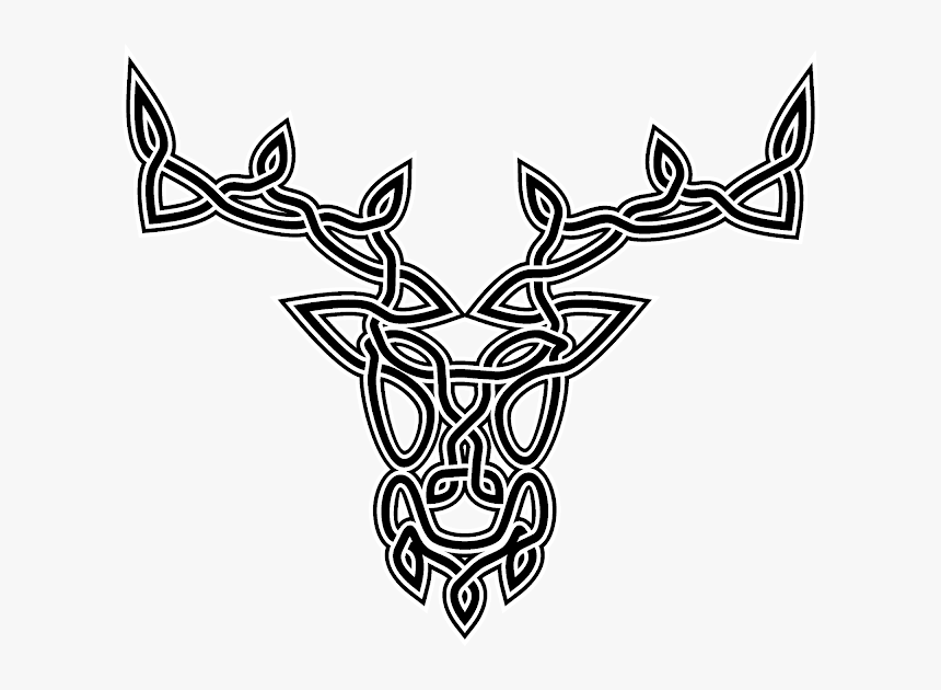 Deer Celtic Knot Celts Tattoo - Celtic Stag Tattoo Design, HD Png Download, Free Download