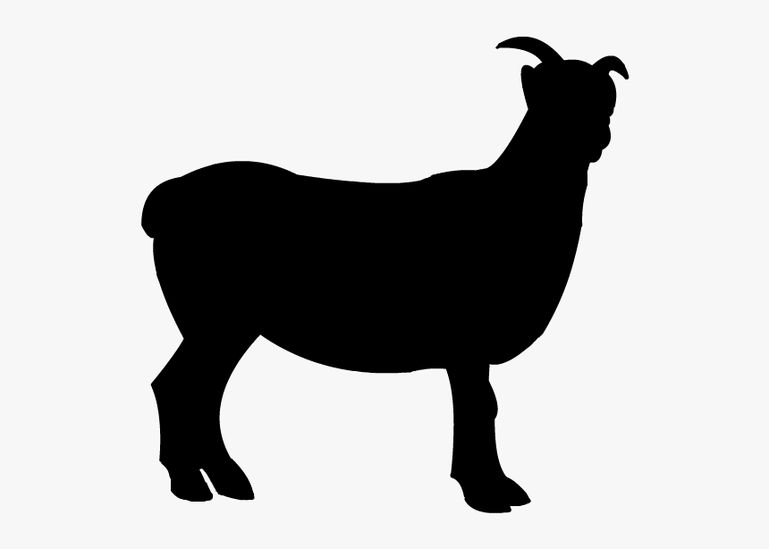 Sheep Boer Goat Clip Art - Kambing Siluet Png, Transparent Png, Free Download