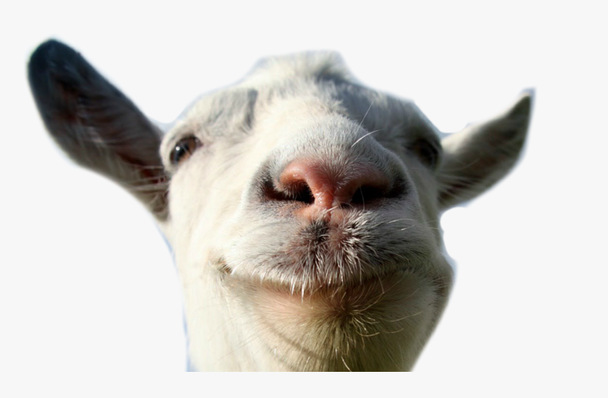 Transparent Goat Simulator Logo Png Goat Head Transparent